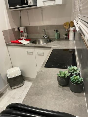 Le Petit Bois Apartment น็องต์ ภายนอก รูปภาพ